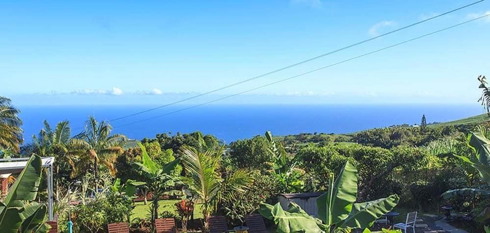 L'Escapade Creole Jacuzzi Privatif Bungalow Bananier Saint-Joseph Bagian luar foto